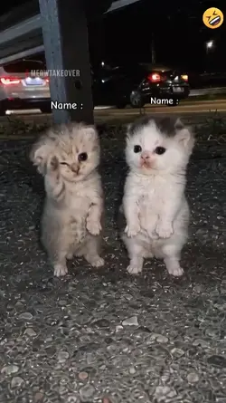 Write Your Names