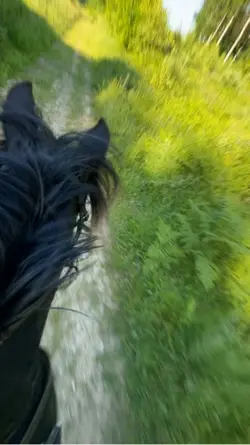 Gallop track slomo 😍