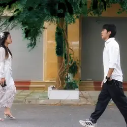 pedido de casamento 