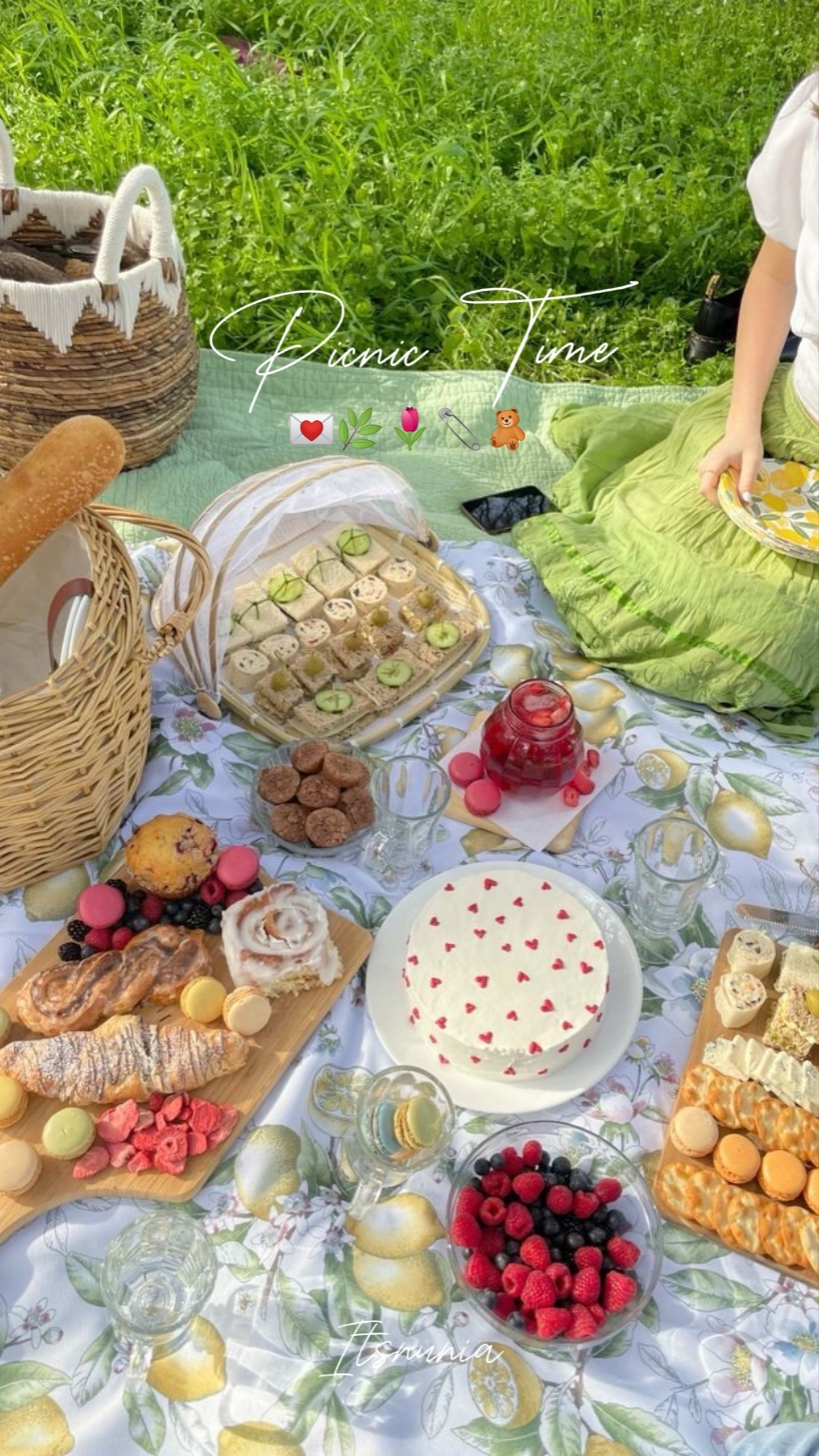picnic time