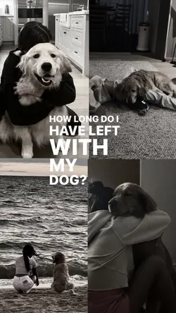 With my dog until