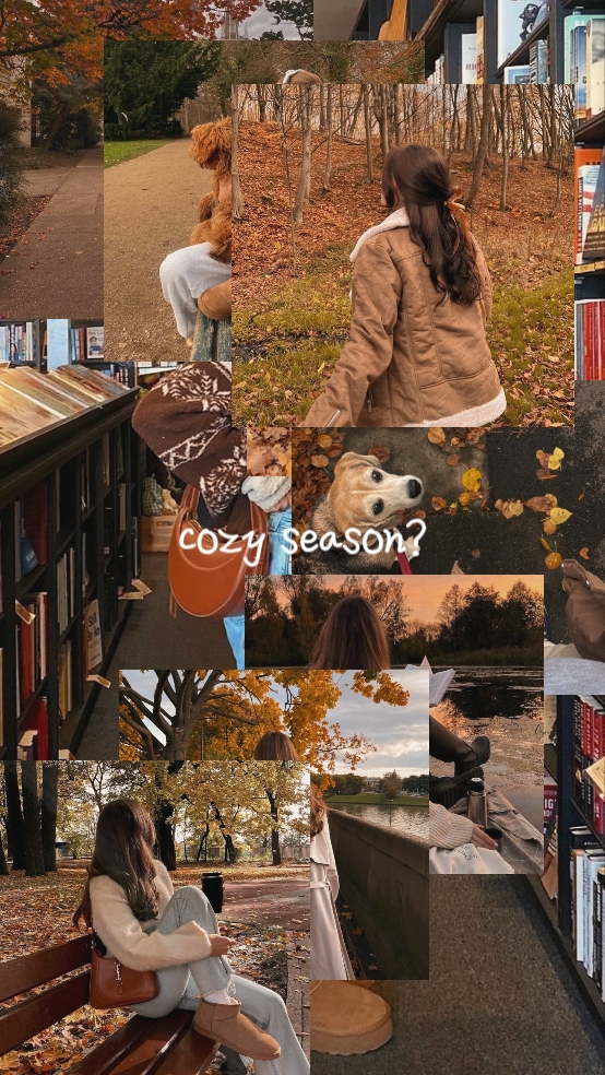 cozy season