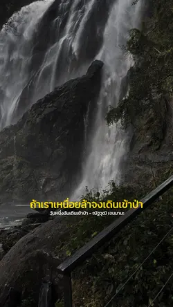 วันหนึ่งฉันเดินเข้าป่า