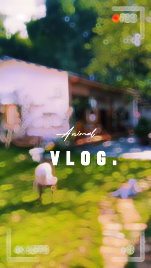 02 Tier-Vlog