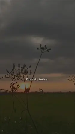 Video+lyrics