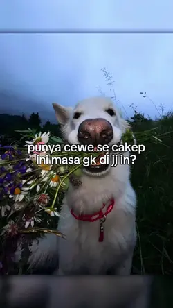 punya cewe secantik 