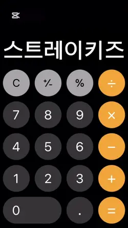 스키즈 버전‼️