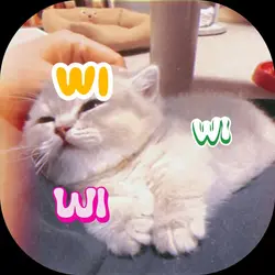 Hopecore Cat Edition