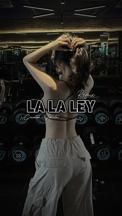 La La Ley remix