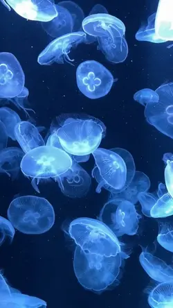 自分自身を信じよう!