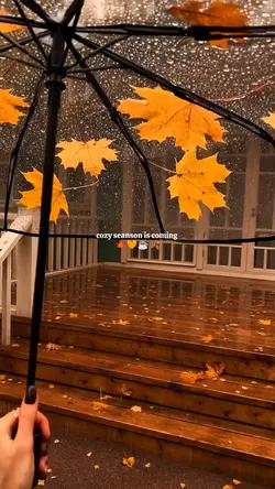 cozy season is comin