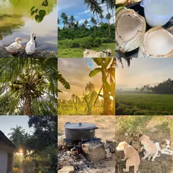9 pics