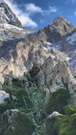 malbarkırya çûzozana