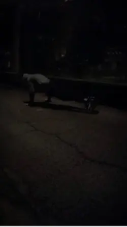 No tengan miedo 👻 