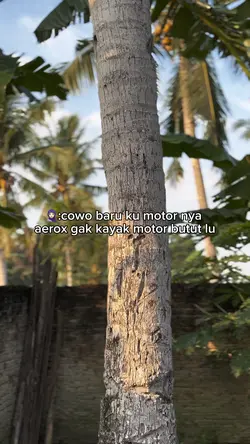 kece