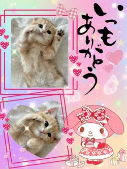 いつもありがとう!2clip