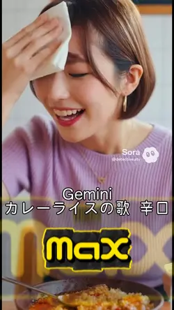 Gemini カレーライスの歌 辛口