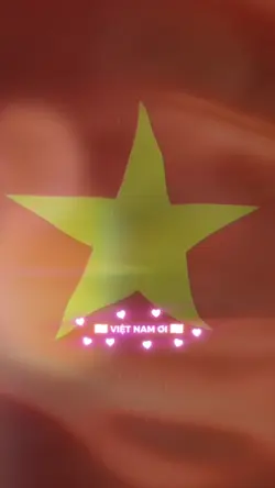 VIỆT NAM ƠI
