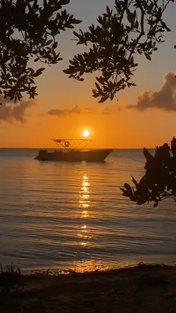 Vacaciones 🥥🏝️