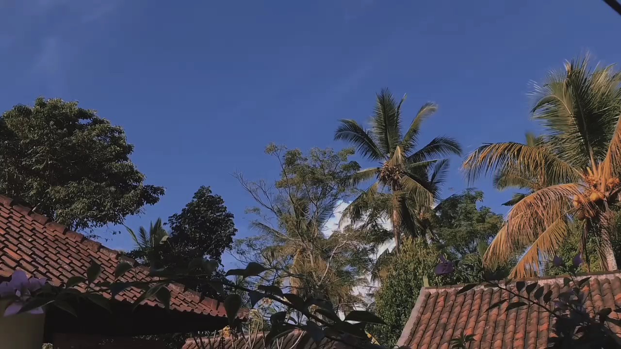Cinematic 2 video