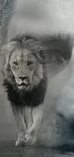 BİZ KARADENİZLİLER