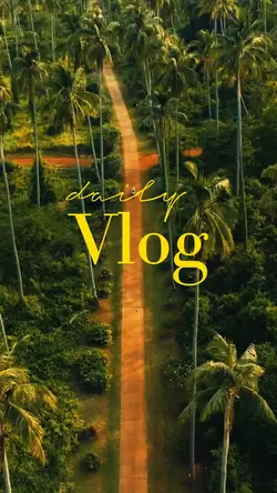 daily vlog