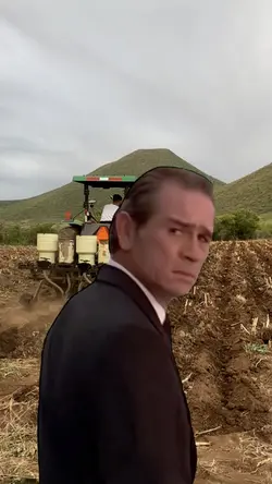Vale la pena?