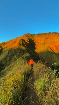 Video estetik parah