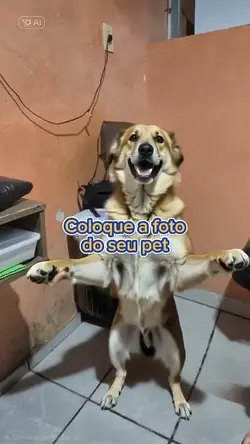 O baiano tem o molho