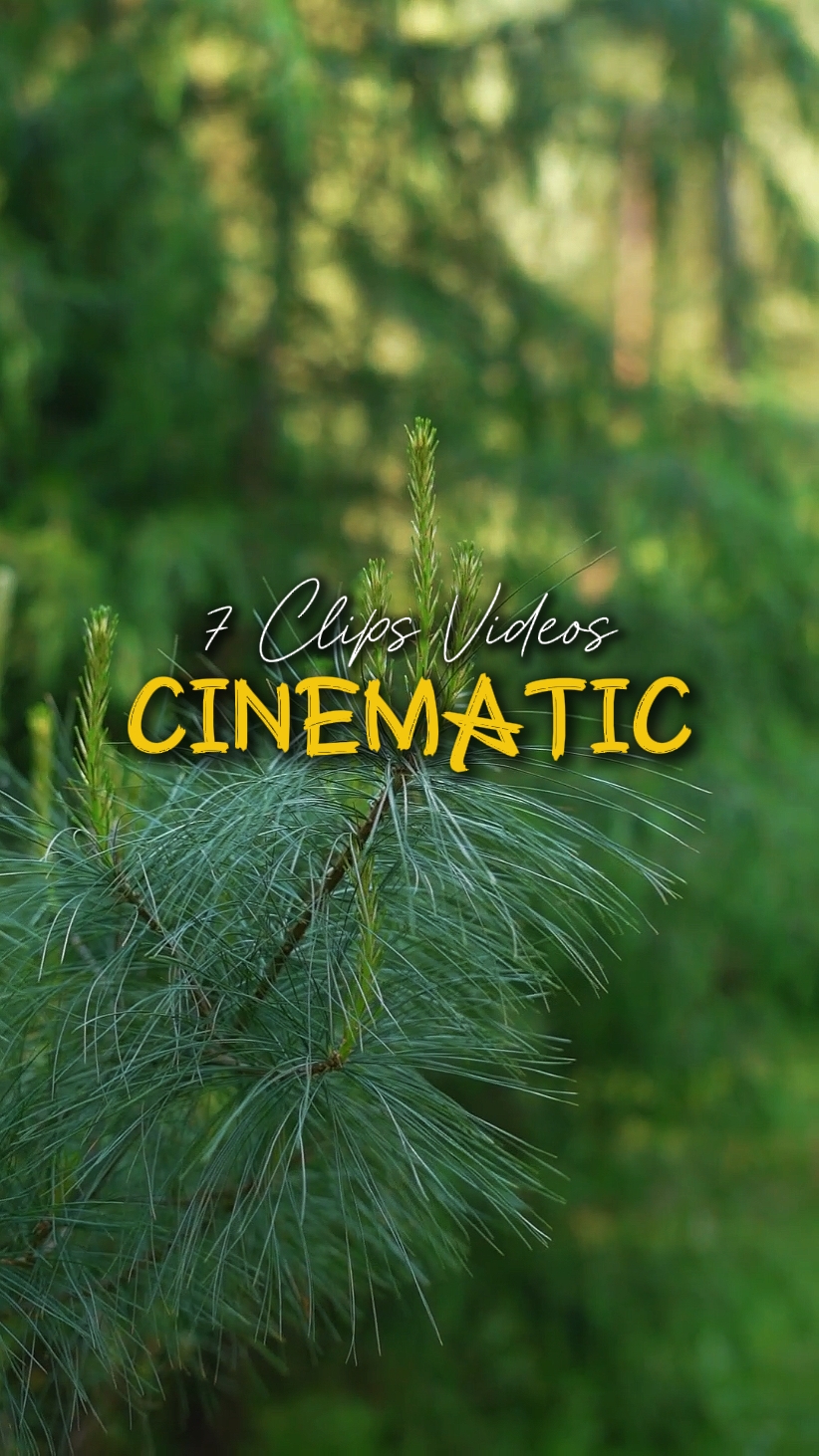 CINEMATIC 7 VIDEOS
