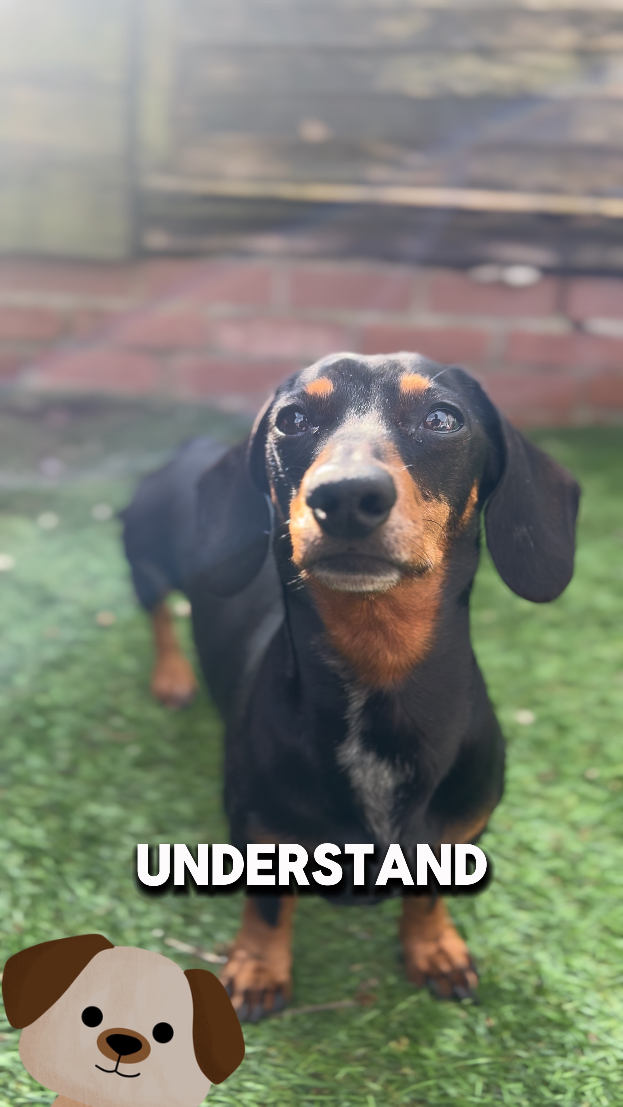 fluent in obedience
