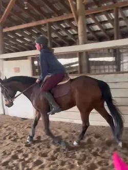 Downward transition😻