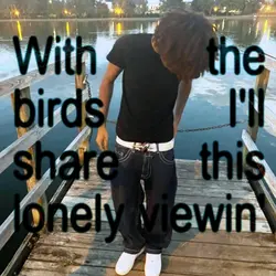 loney viewin