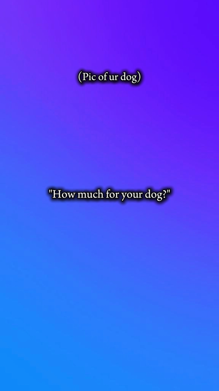 köpek