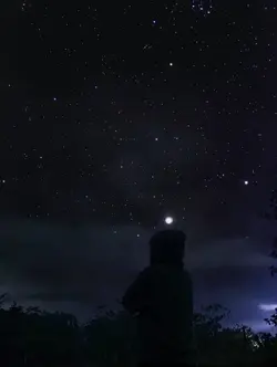 Terimakasih bapa