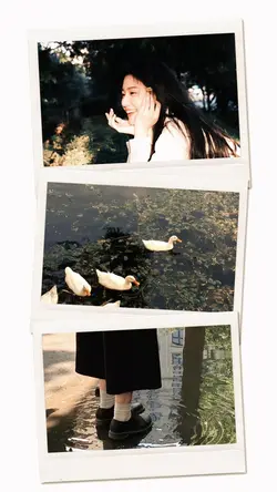 3 polaroid Frame