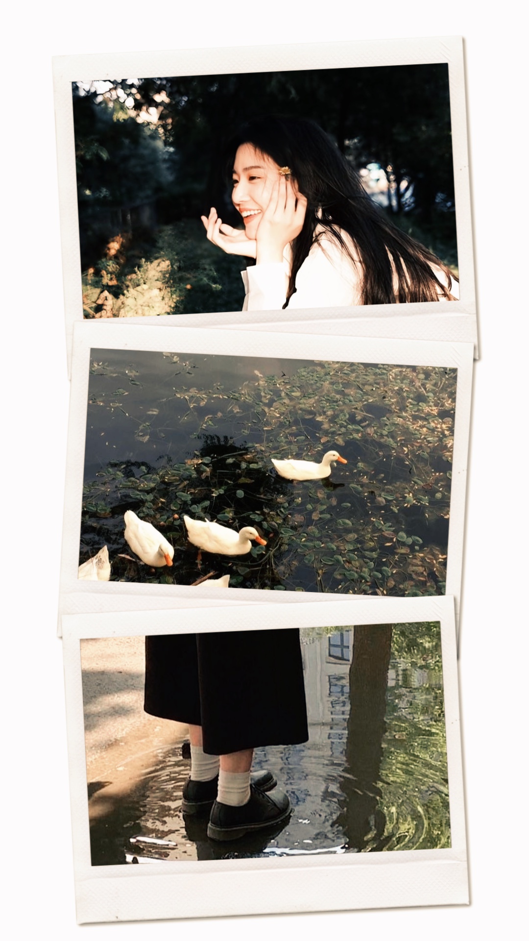 3 marcos polaroid