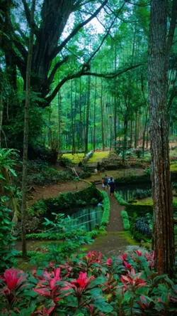 suara alam hutan