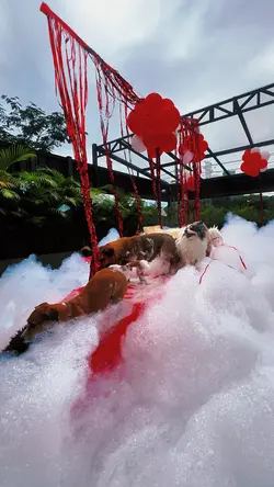 Quina de espuma foam