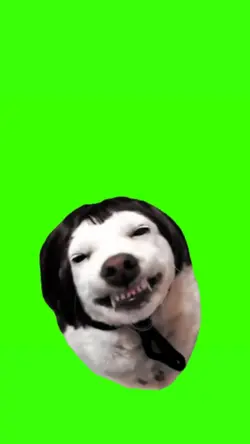 smiling dog