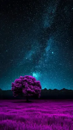 Chill Energy
