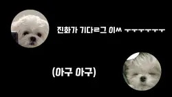 진호가 기다ㄹㄱ..