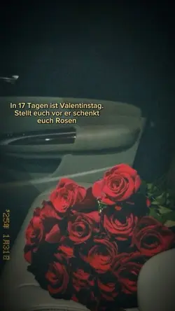 Valentinstag 💌