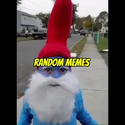 random memes 