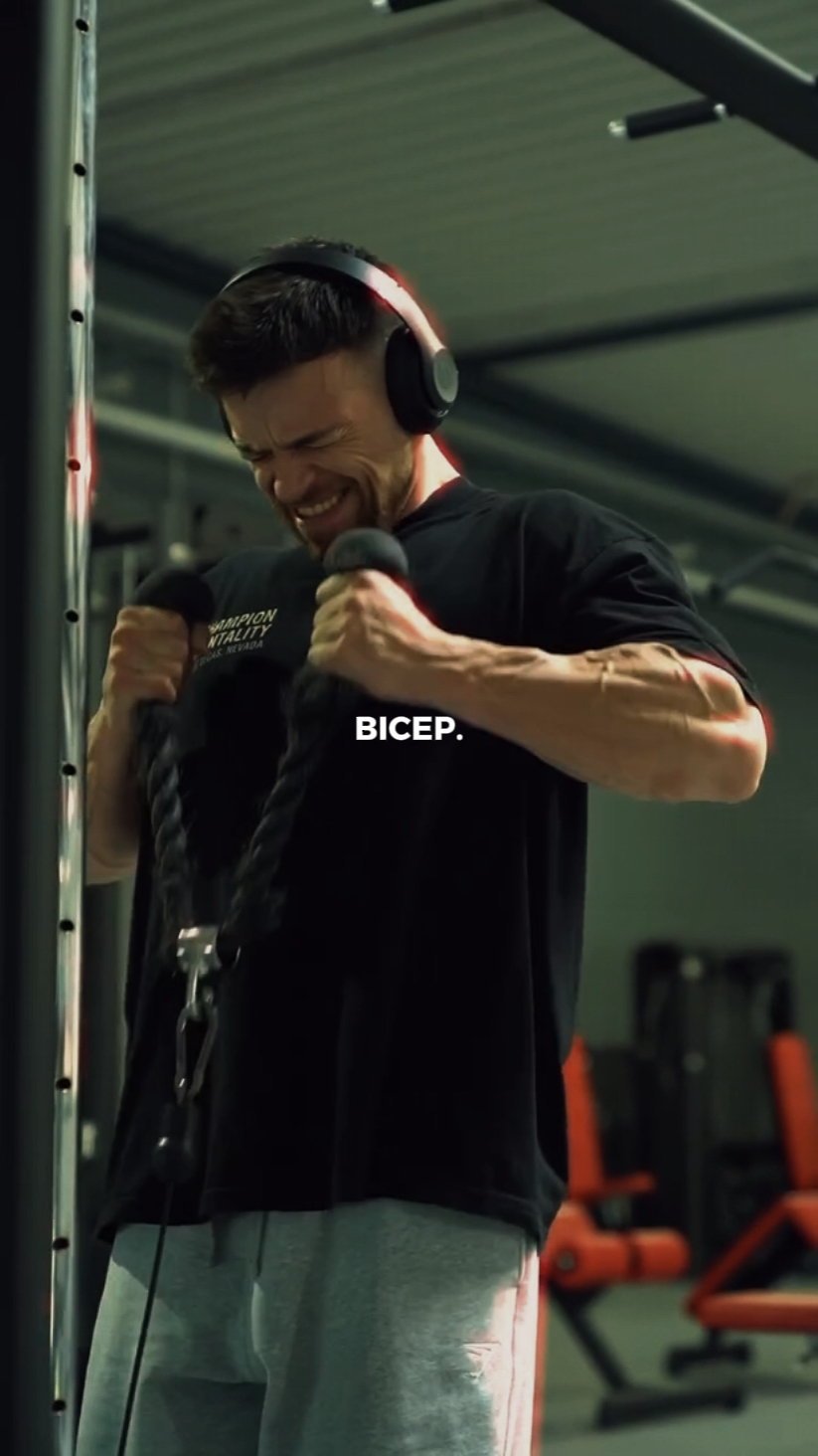 BICEP CURL EVERYDAY 