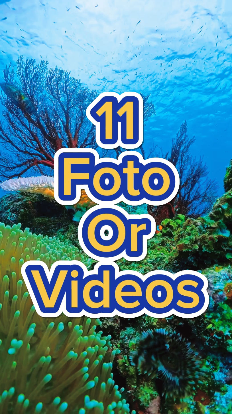 11 Diapositivas de fotos
