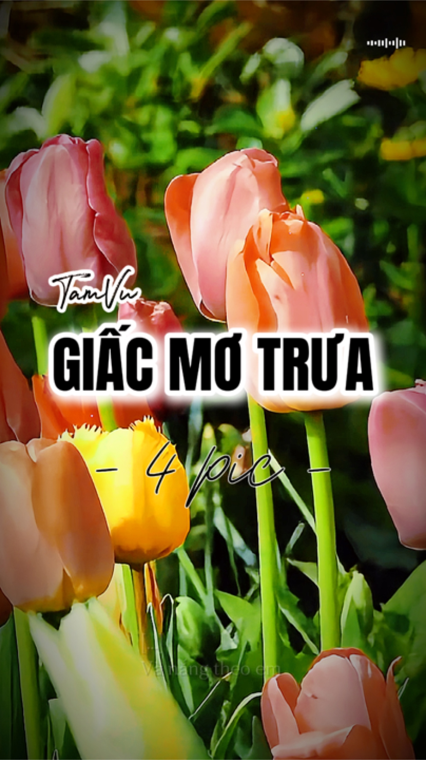 GIC MTRA 