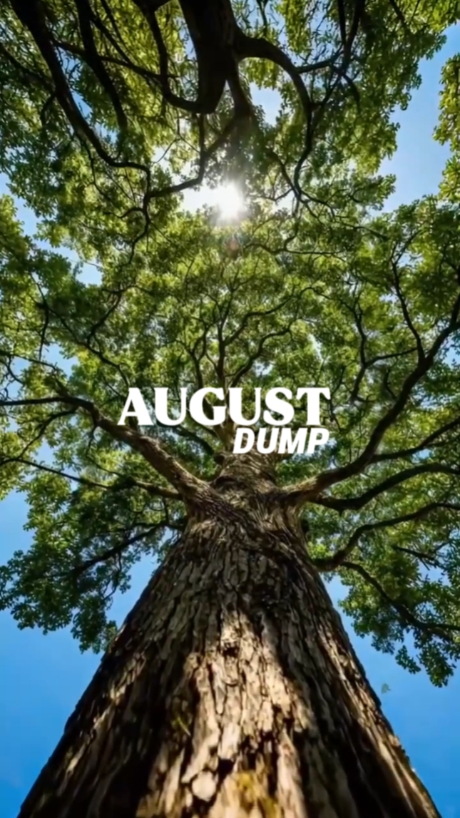 August Dump