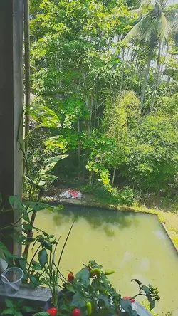 oi lagi santai kawan