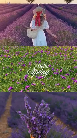 Its Blooming